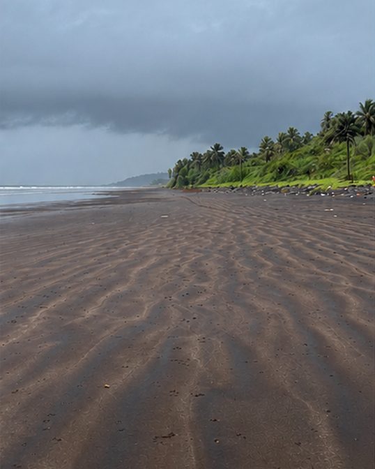 Karde Beach in Dapoli, palms at the far end