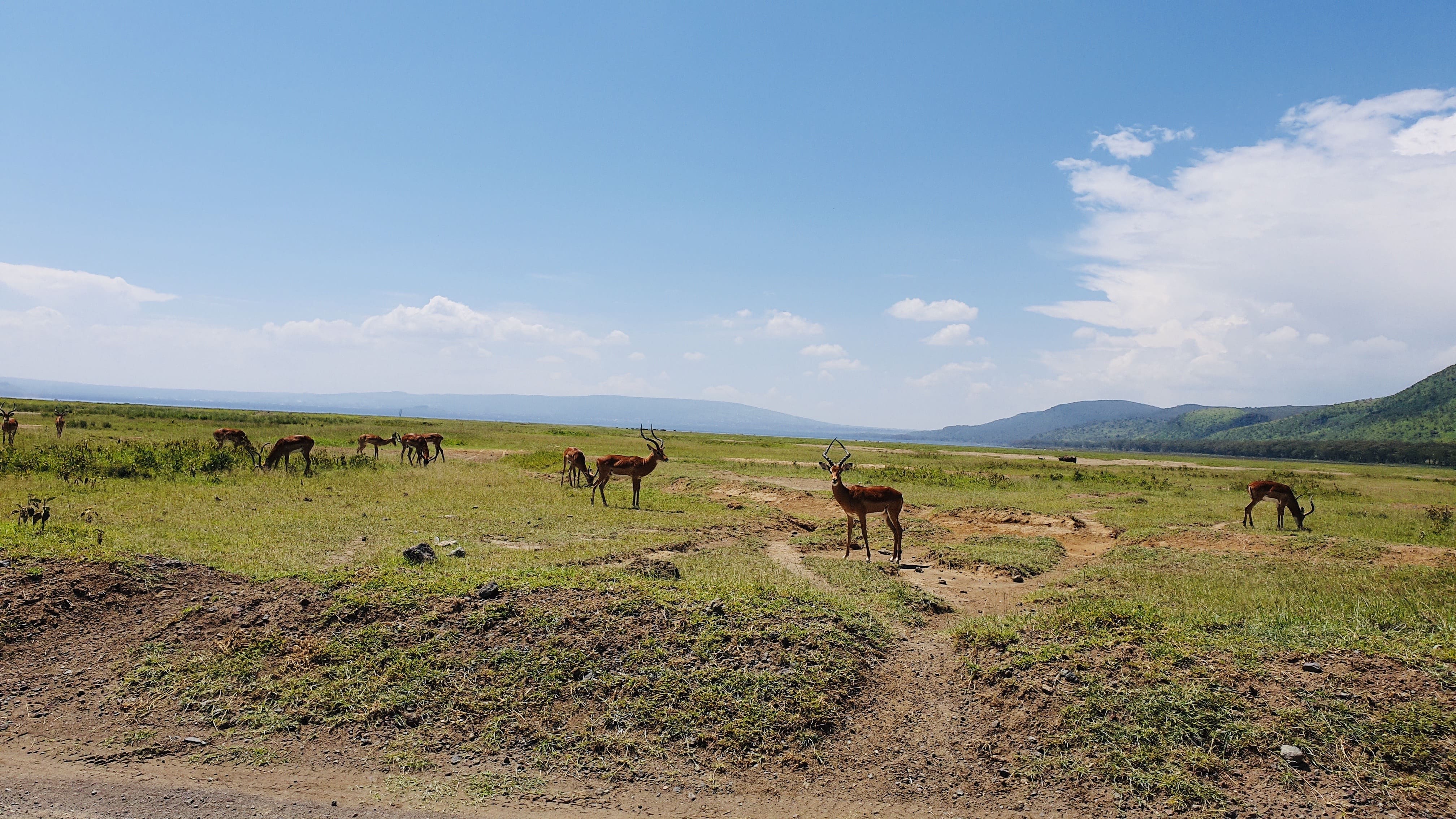 Lake Nakuru NAtional Park