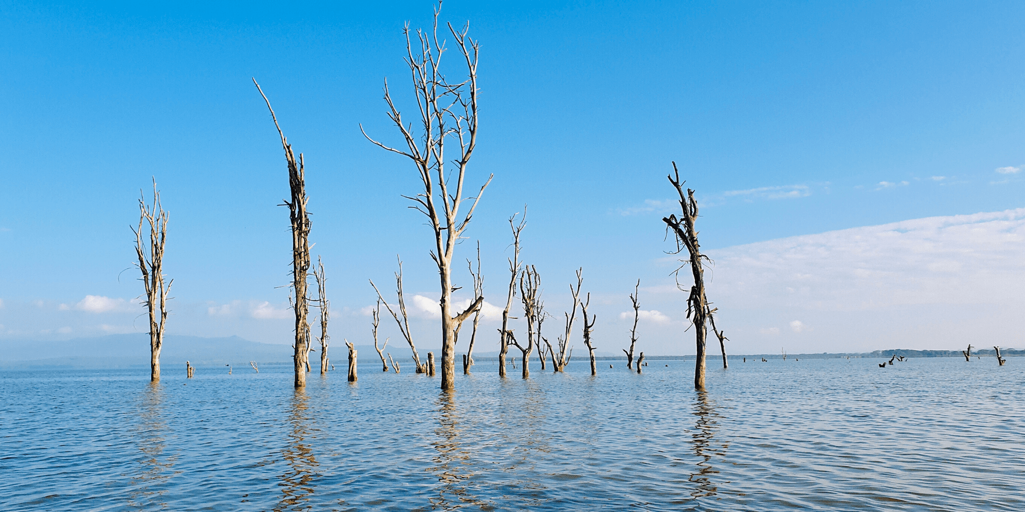 Lake Naivasha Lake in morning