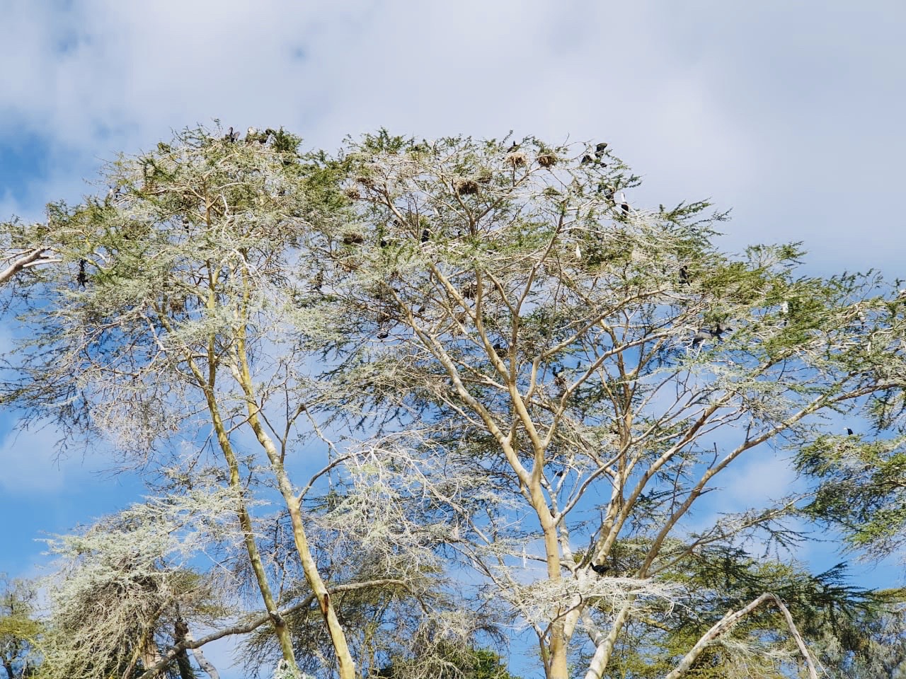 Beautiful Nature at Lake Naivasha