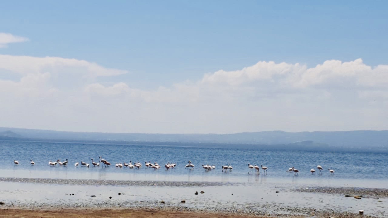 Lake Nakuru National Park