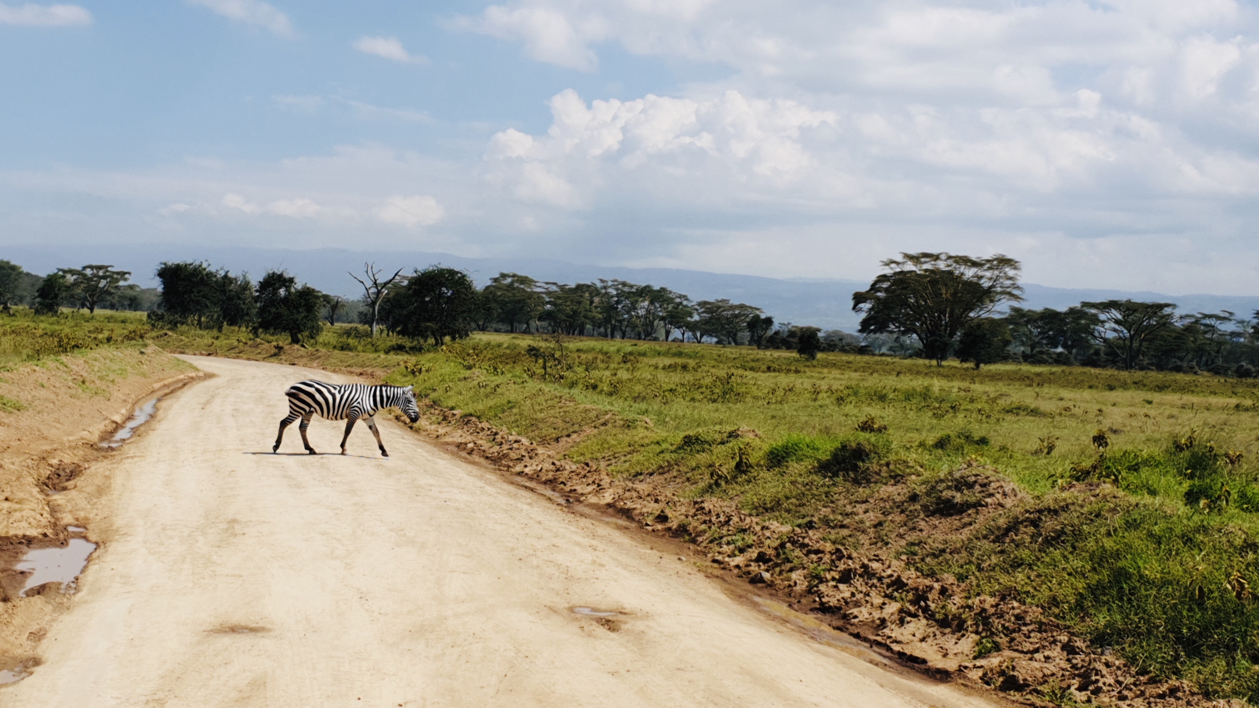 Lake Nakuru National Park 