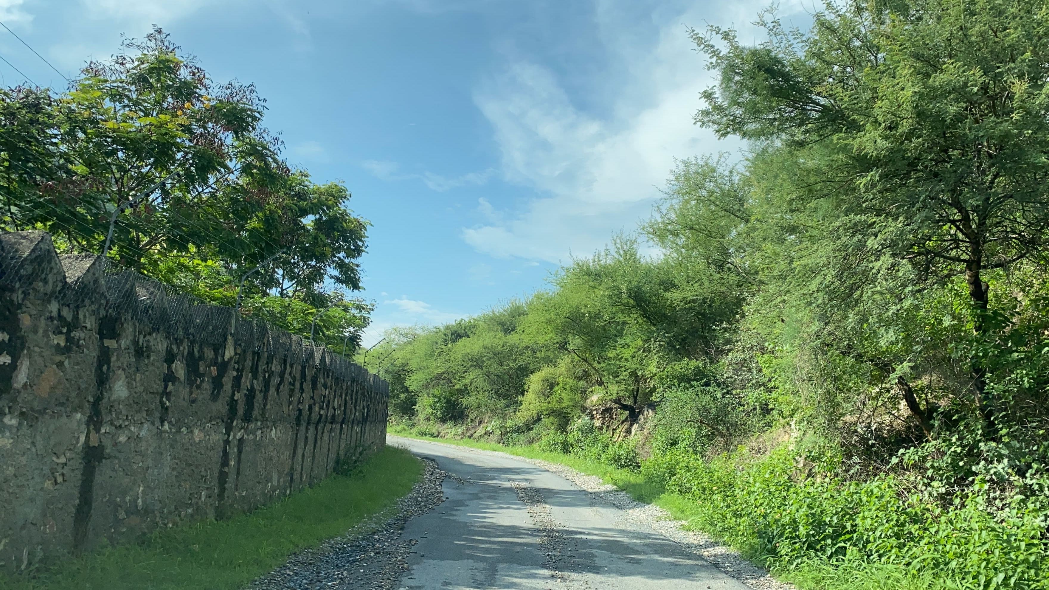 beautiful road to the monsoon palace