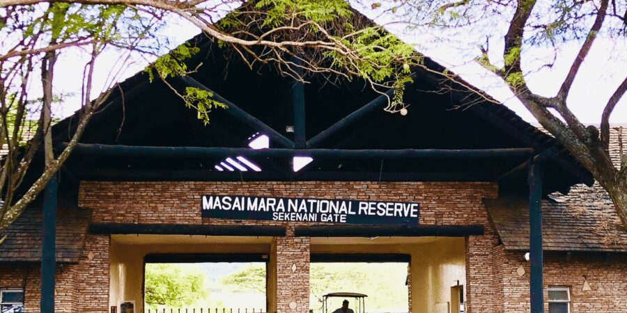 Exploring Maasai Mara National Reserve – Where The Adventure Is!